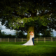 Bride and Groom kiss by the tree at Milling Barn wedding venue in Hertfordshire